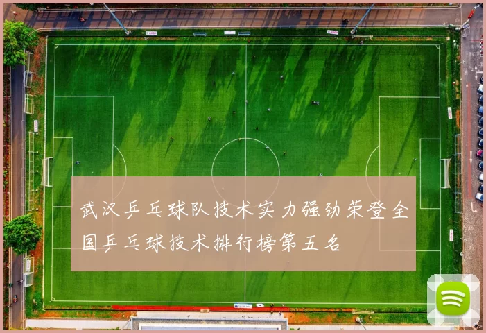 武汉乒乓球队技术实力强劲荣登全国乒乓球技术排行榜第五名
