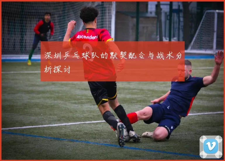 深圳乒乓球队的默契配合与战术分析探讨