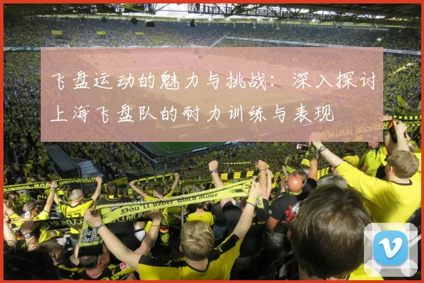 飞盘运动的魅力与挑战：深入探讨上海飞盘队的耐力训练与表现