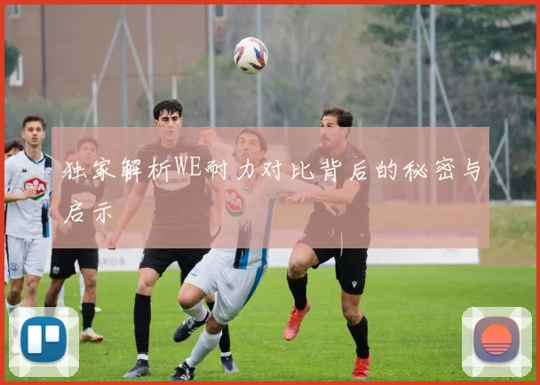 独家解析WE耐力对比背后的秘密与启示
