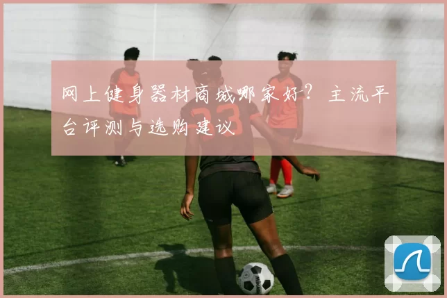 网上健身器材商城哪家好？主流平台评测与选购建议
