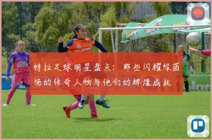 特拉足球明星盘点：那些闪耀绿茵场的传奇人物与他们的辉煌成就