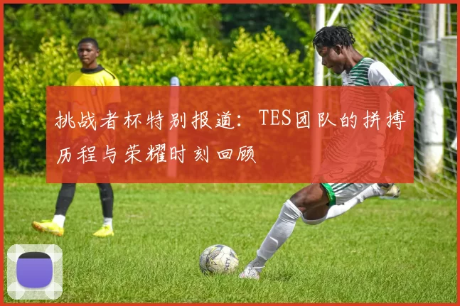 挑战者杯特别报道：TES团队的拼搏历程与荣耀时刻回顾