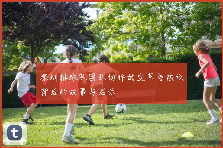 深圳排球队团队协作的变革与热议背后的故事与启示