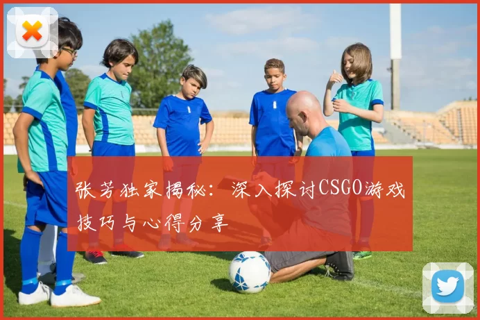 张芳独家揭秘：深入探讨CSGO游戏技巧与心得分享