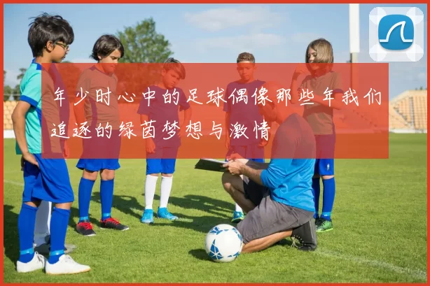 年少时心中的足球偶像那些年我们追逐的绿茵梦想与激情